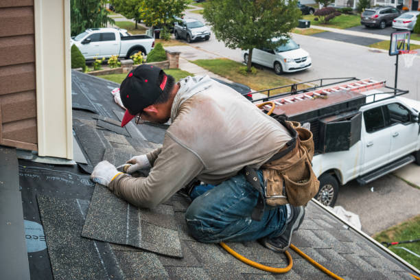 Professional Roof Inspection technician working in Basco, IL